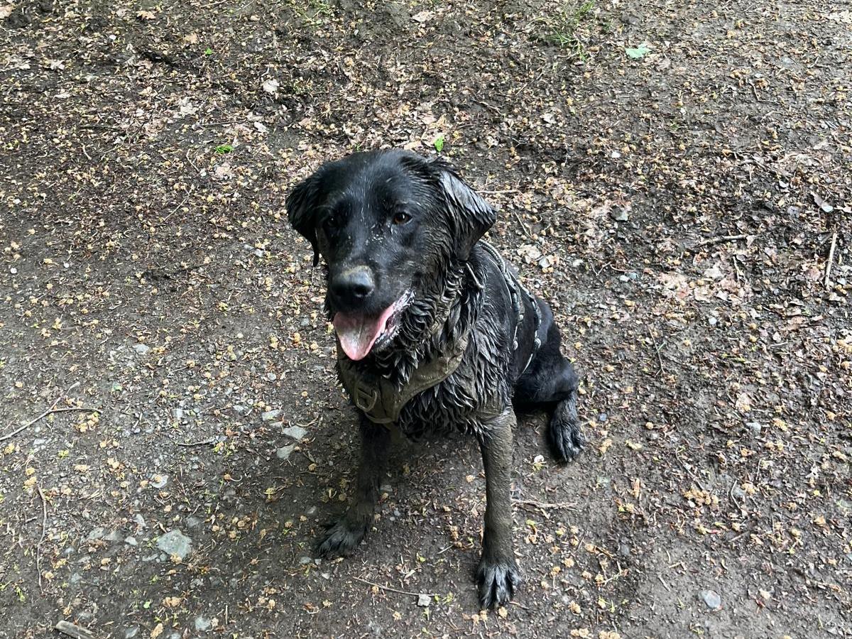 Maja im Matsch