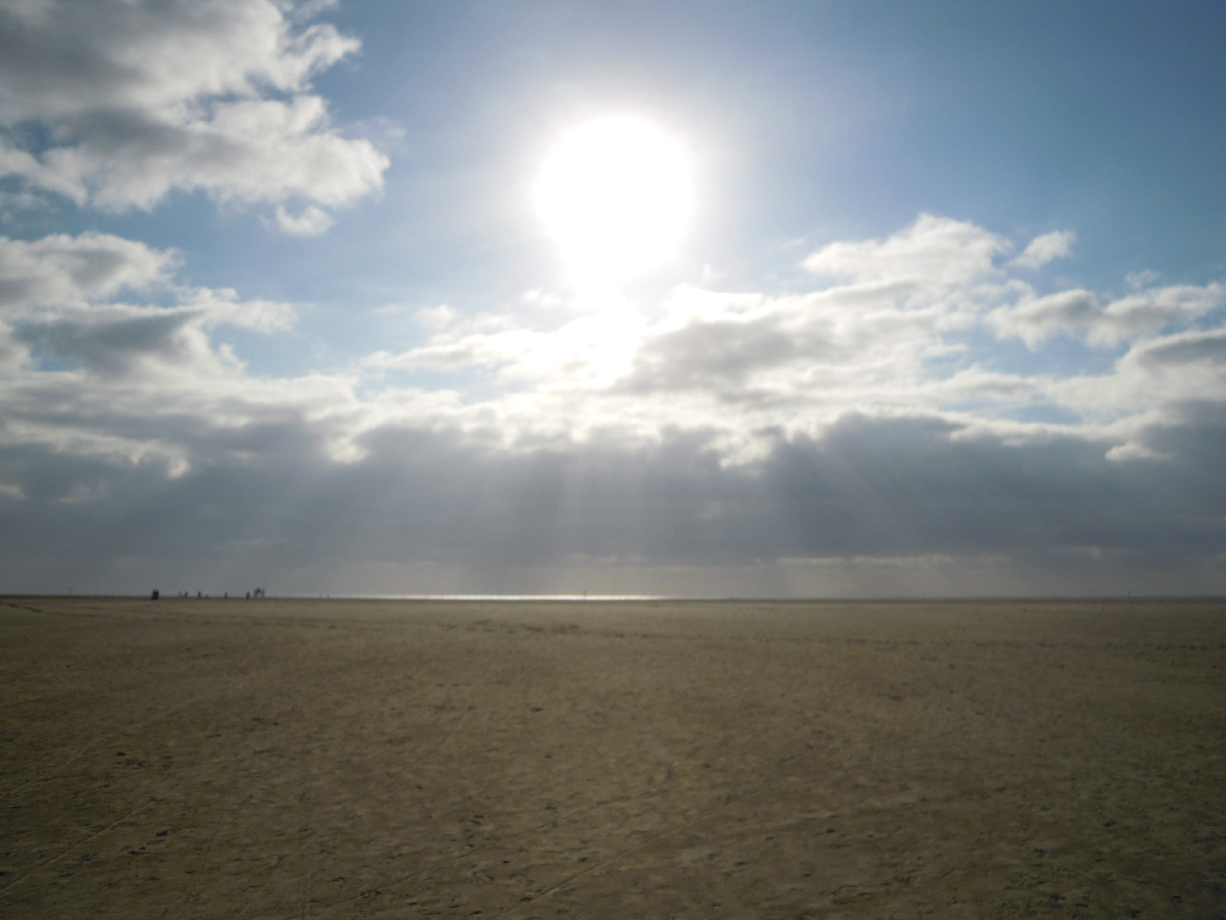Sankt Peter Ording mit Hund
