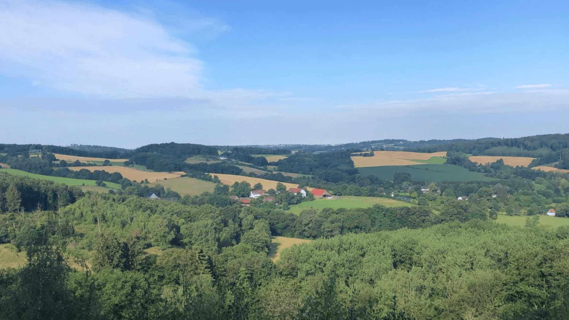 Das ist wie Urlaub – unsere schönsten Ausflüge mit Hund rund um Wuppertal