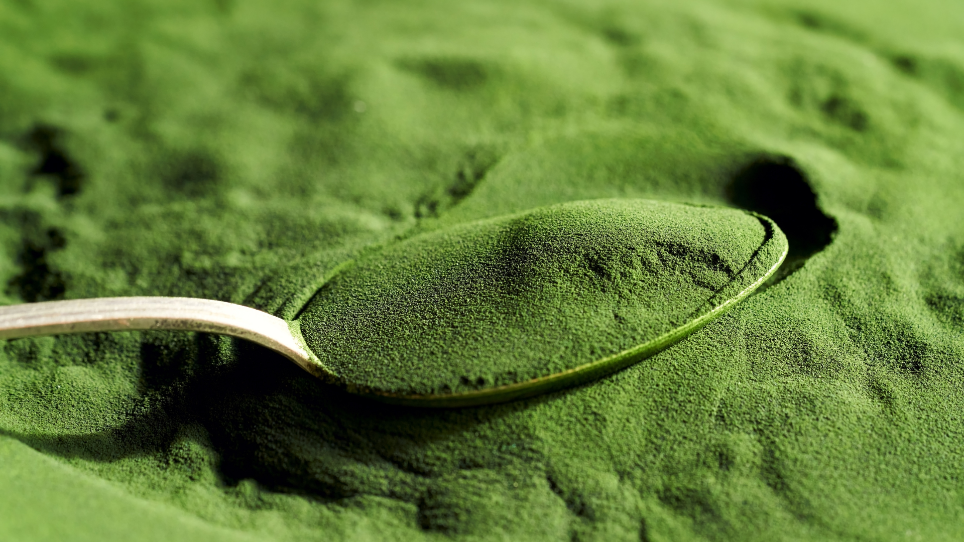 Chlorella für Hunde – warum ich es mehrmals im Jahr als Kur gebe