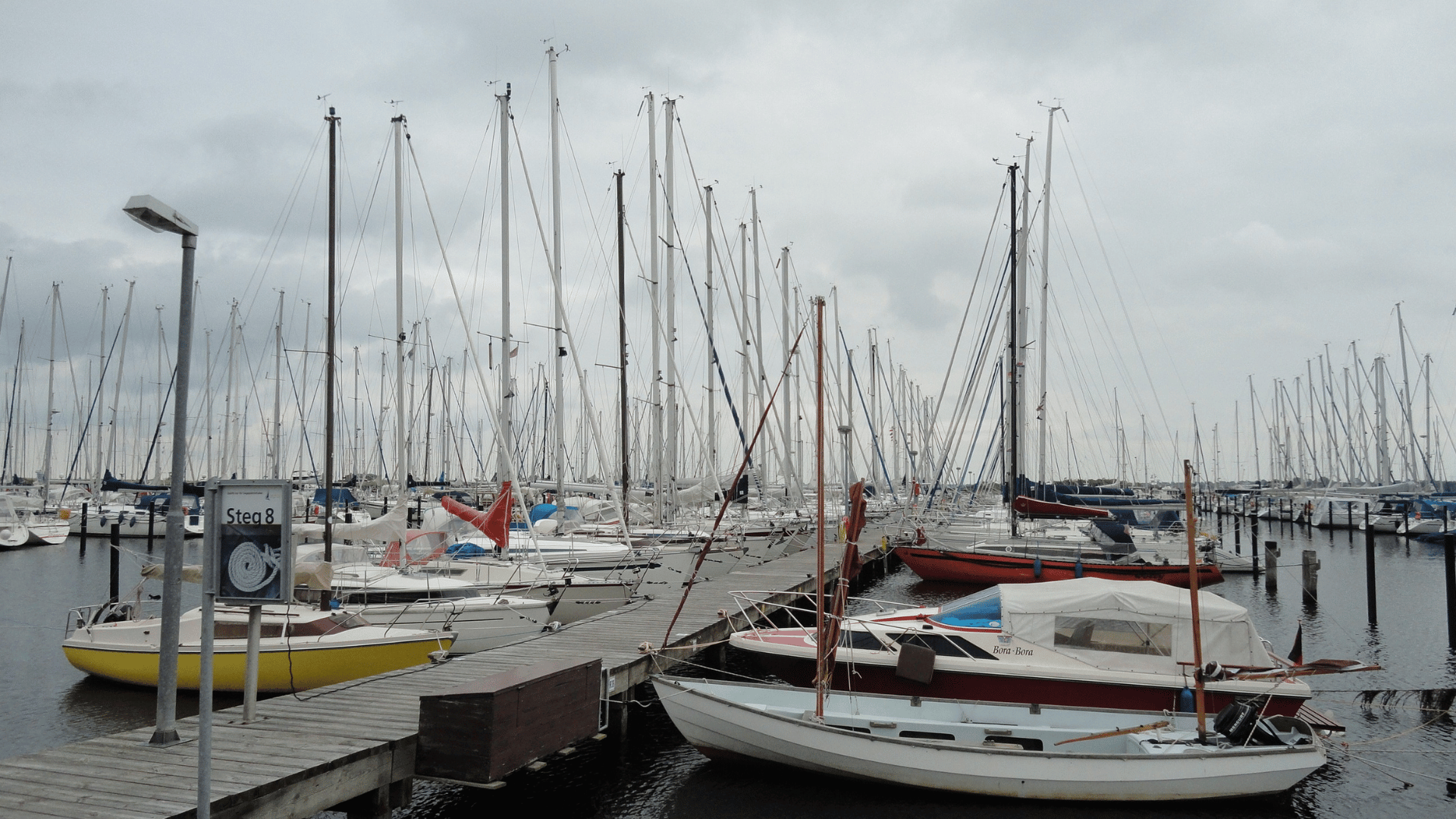 Heiligenhafen mit Hund – Hafen, Hundestrand und unsere liebsten Ausflugsstopps