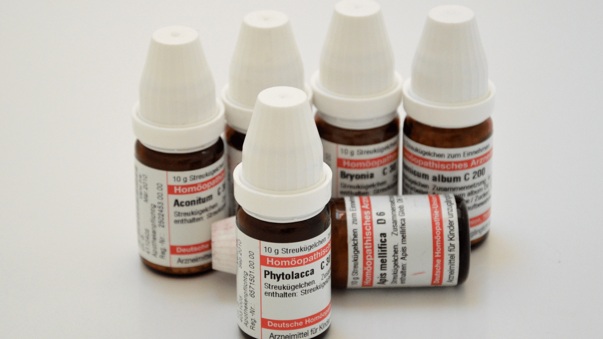Homöopathie für Hunde – wie finde ich das passende Mittel?